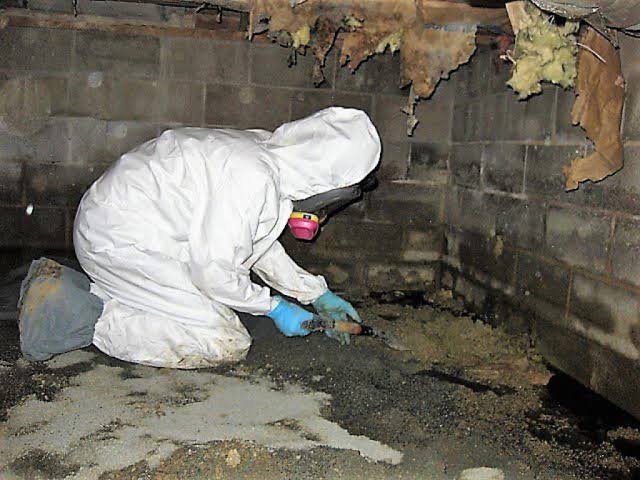 How a Water Restoration Service Helps Minimize Property Damage